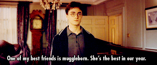  Hermione is Muggle Born