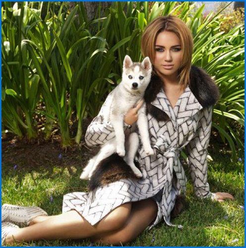 Miley Cyrus Poses With Her कुत्ते का बच्चा, पिल्ला Floyd-august-2011