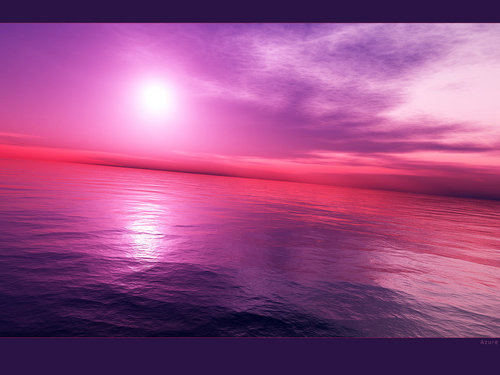  Purple peace 바닷가, 비치