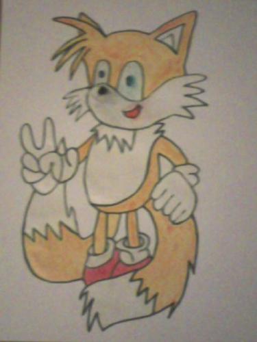  Tails the zorro, fox