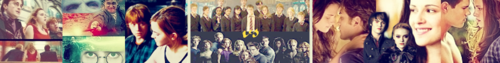  The original HP vs Twilight Banner