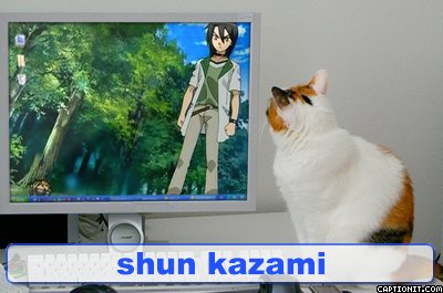  cat watching shun on the monitor