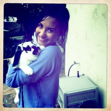  demi and her bunny