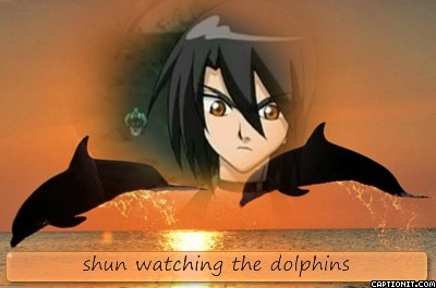  shun watching the dolphins