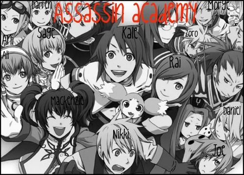  Assasin Academy