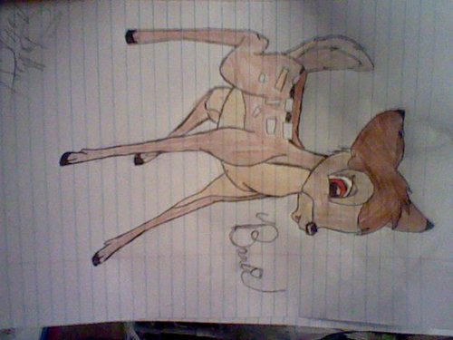  Bambi tht i drew