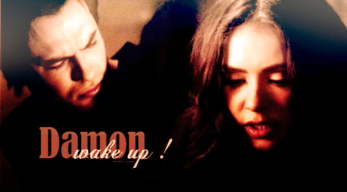  Damon&Katherine ♥
