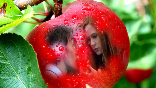  Eleven and Amy manzana, apple