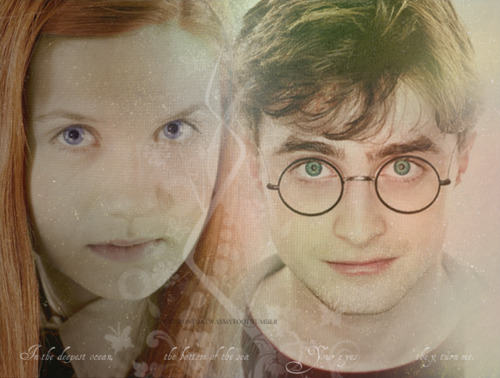  Harry&Ginny
