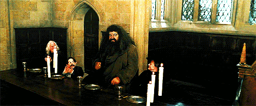  Hogwarts Professors