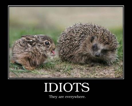  Idiots..