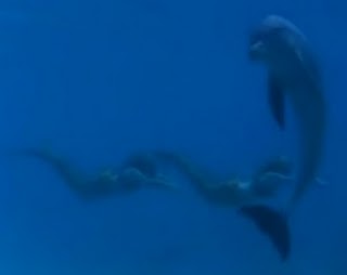  putri duyung and ikan lumba-lumba, lumba-lumba