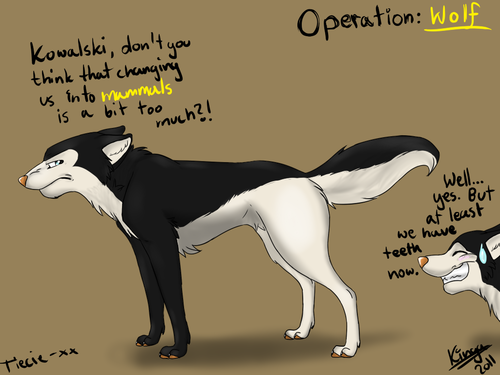  Operation: 狼, オオカミ