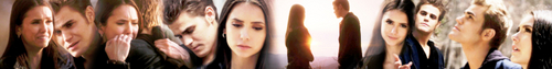 Stelena - The Last Day Banner
