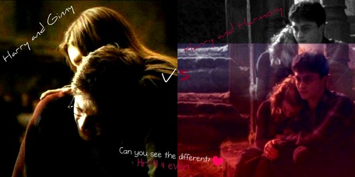 can toi see the different? H/Hr 4 ever!<3