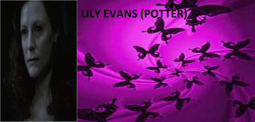  lily evans (potter)