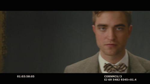  water for elephants-Rob