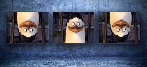  what are anda looking at,Kowalski?