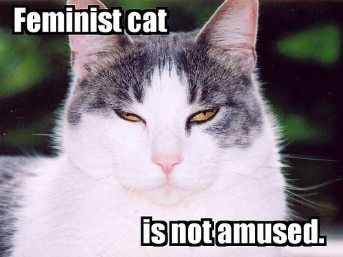  Feminist Cat