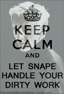  Keep Calm and Harry Potter On;