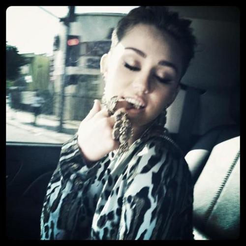  Miley- New Twitter Pics!