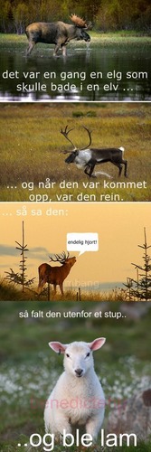  Norsk humor på sitt beste:)