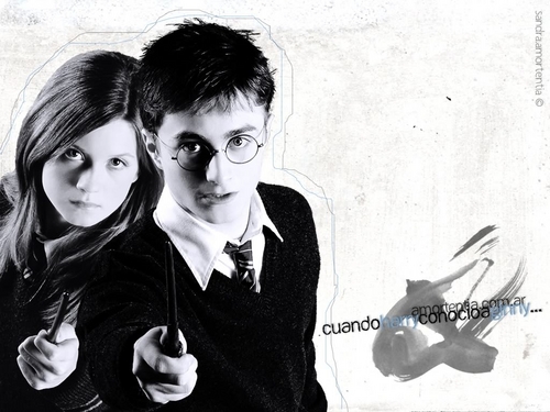  harry and ginny 11