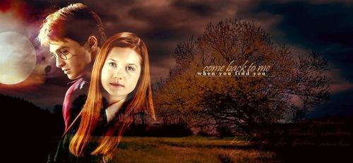  harry and ginny 6