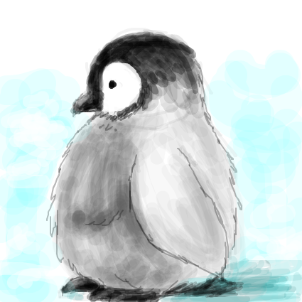  Baby pinguin