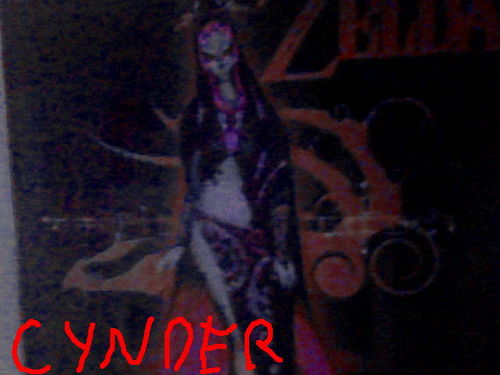  Cynder.