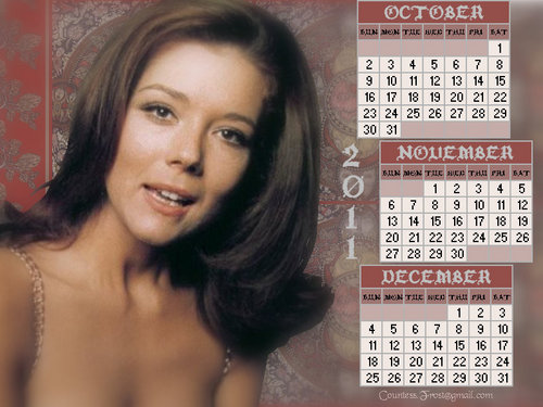 Diana - October thru December 2011(calendar)