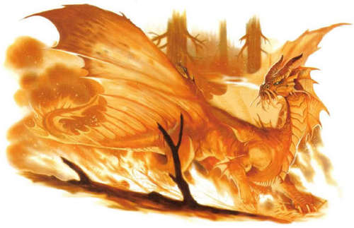 Gold Dragon-