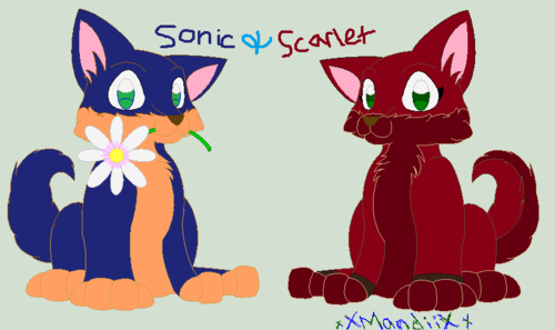  My sonic peminat coulpes with the real character