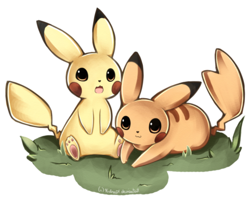  Pikachu couple