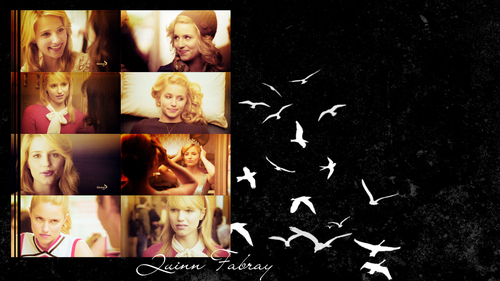  Quinn Hintergrund