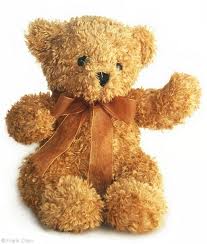  Teddy Bears!