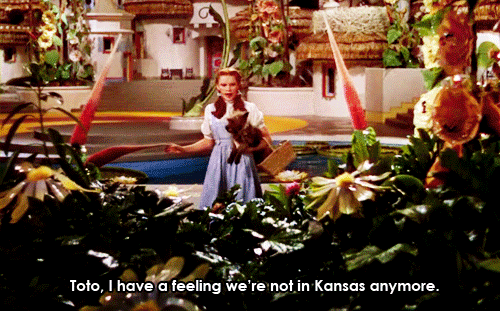  Toto, I have a feeling we're not in Kansas anymore