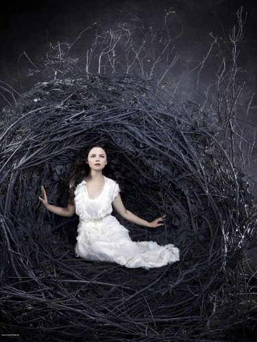  Cast - Promotional 写真 - Ginnifer Goodwin as Snow White/Sister Mary Margaret Blanchard