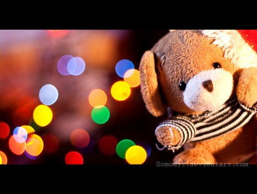  Christmas teddy ours