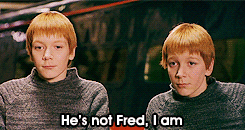  fred figglehorn and George