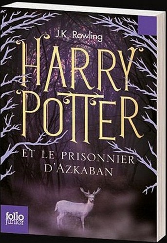  New French Harry Potter libri Covers