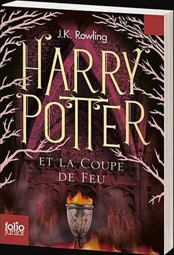  New French Harry Potter livres Covers