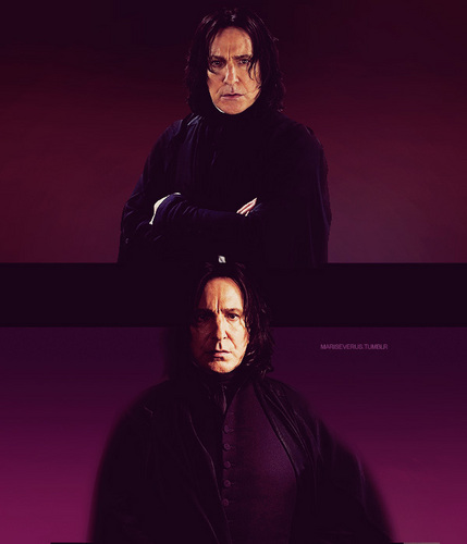  Severus Snape, forever