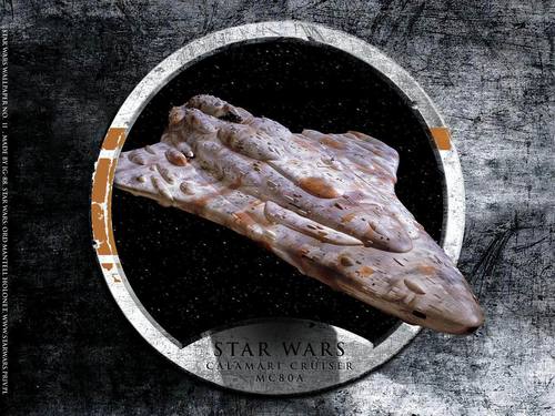 Star Wars Calamari Cruiser