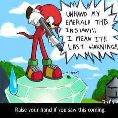  Stay Away From the Master Emerald, This Means U.......idiot