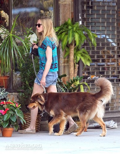  Amanda out in NYC - Buying fleurs with Finn! [10th September 2011]