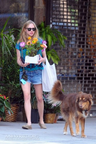 Amanda out in NYC - Buying flowers with Finn! [10th September 2011]