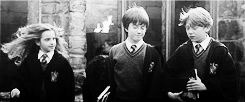  Harry, Ron and Hermione ♥