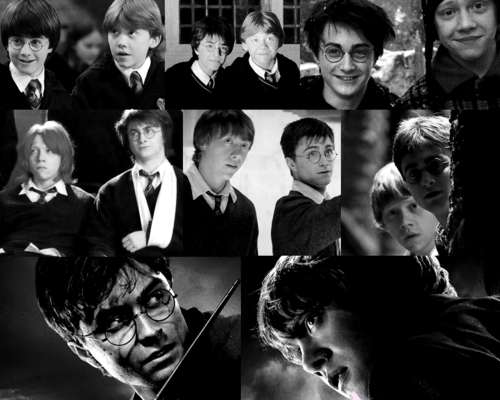  Harry and Ron ♥