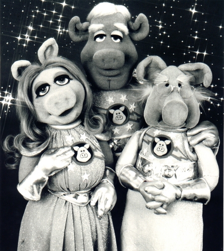  Pigs in o espaço